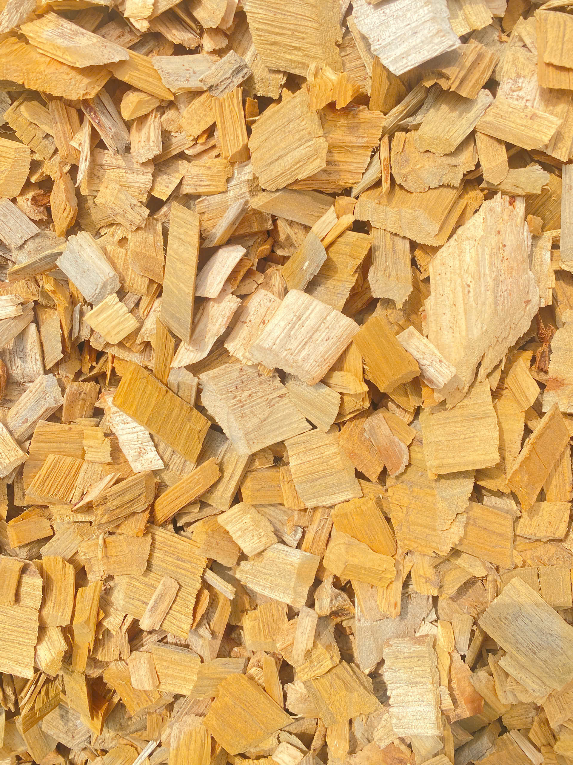 Dăm thông Thăng Long 0813365556 Dăm gỗ thông/ Pine wood chips - Ảnh 1