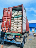 Sắn lát khô/ Dried cassava slices - Ảnh 3