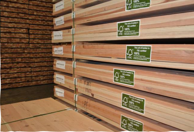 gỗ FSC 5 Thăng Long 0813365556 Gỗ FSC/ FSC Wood logs (FSC 100%, FSC CW) - Ảnh 1