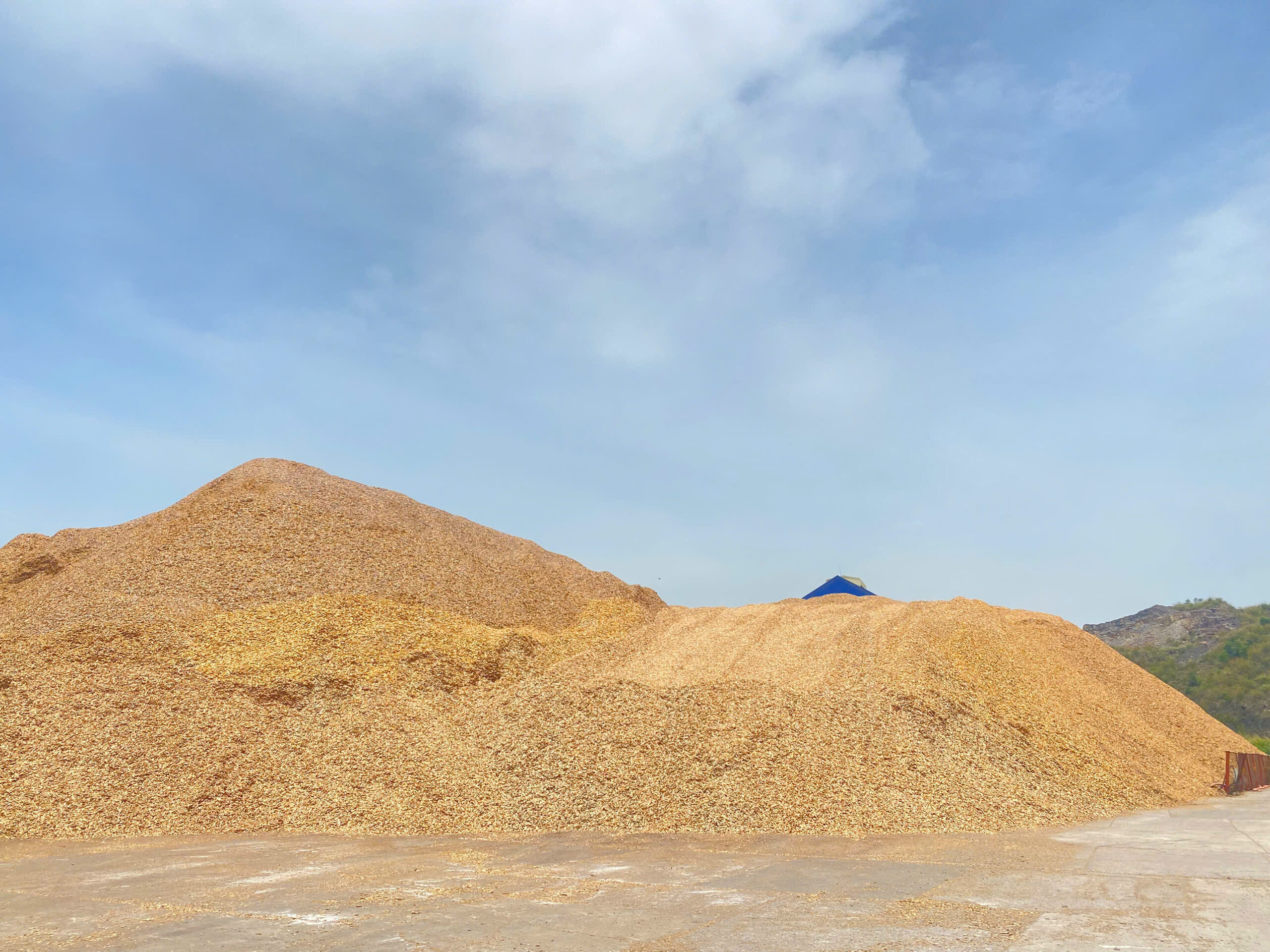 sân dăm Thăng Long 0813365556 Dăm gỗ keo/ Acacia wood chips - Ảnh 1