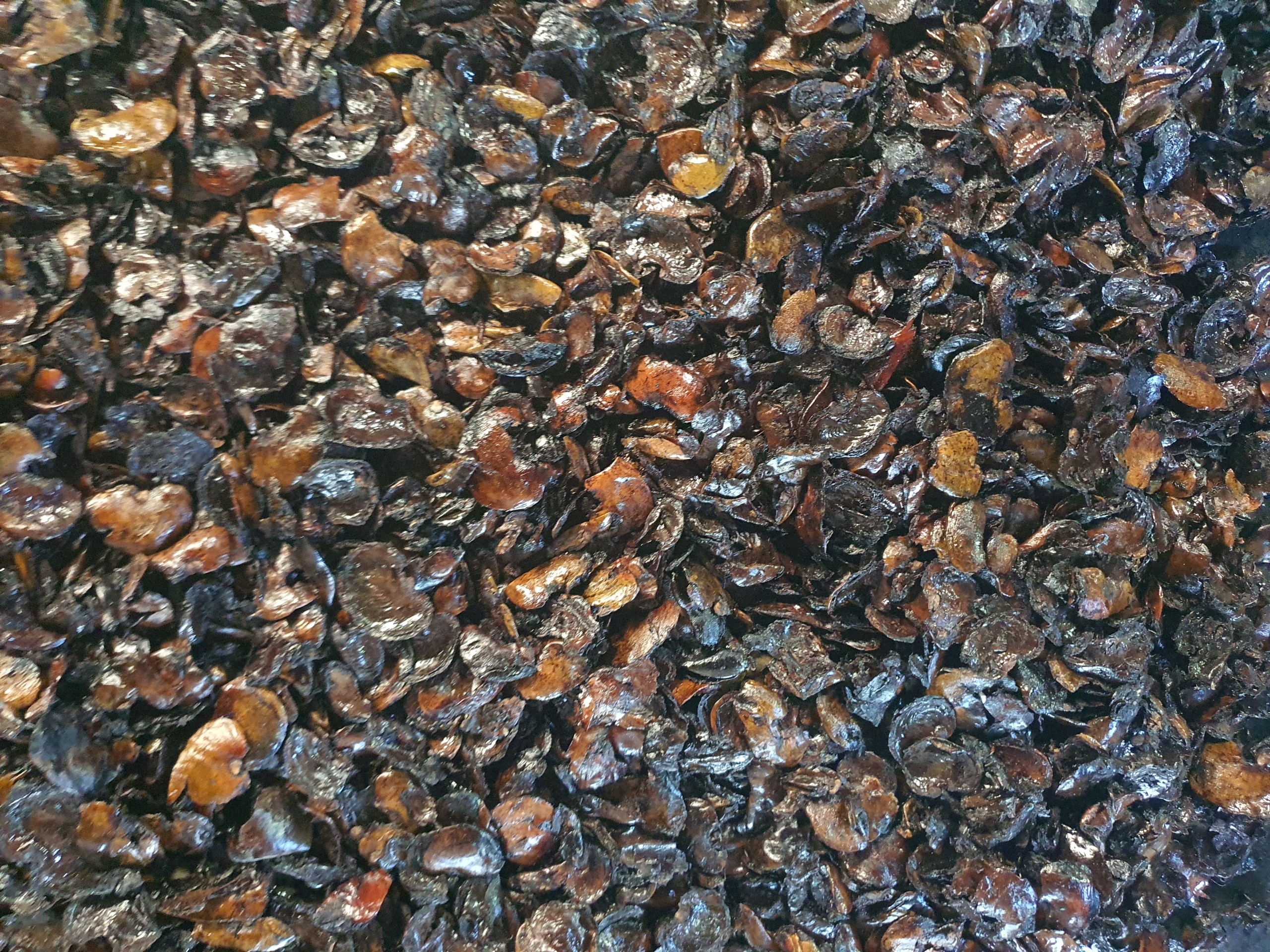 vỏ điều 4 Thăng Long 0813365556 Nhiên liệu sinh khối/ Biomass fuel - Ảnh 1