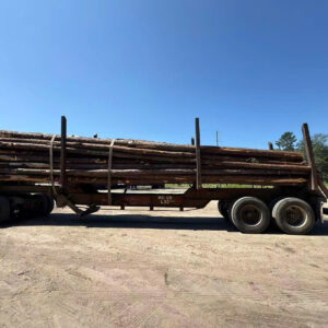 Gỗ tròn nhập khẩu/ Imported round wood logs