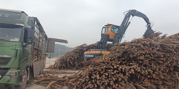 Gỗ keo 2 Thăng Long 0813365556