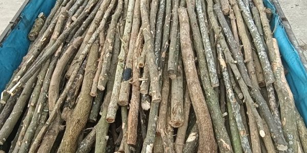 Gỗ keo Thăng Long 0813365556