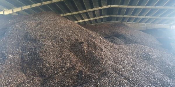 vỏ điều Thăng Long 0813365556