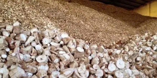 z7041445752791_40222ad68a785a94455bc5165b09d189