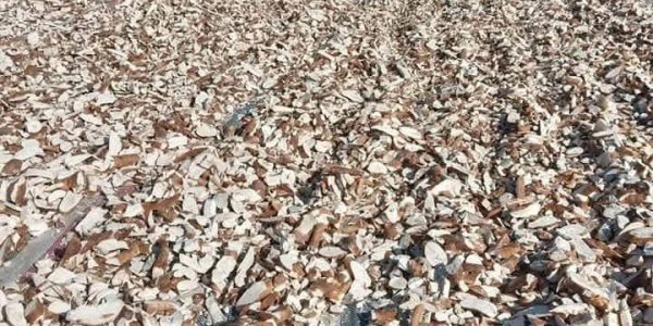 z7041453784394_88d5fea3d613fbb0faeb79687bdb8e78